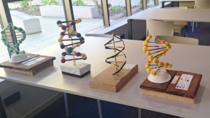 Capture d’écran 2025-12-09 084304.png