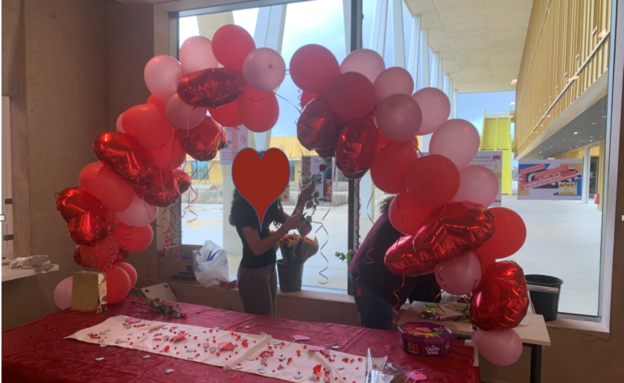 Capture d’écran 2026-02-19 132838.png