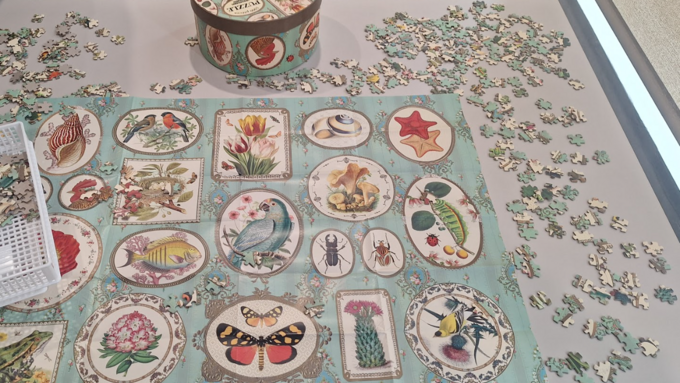 Capture d’écran 2026-02-19 154411.png